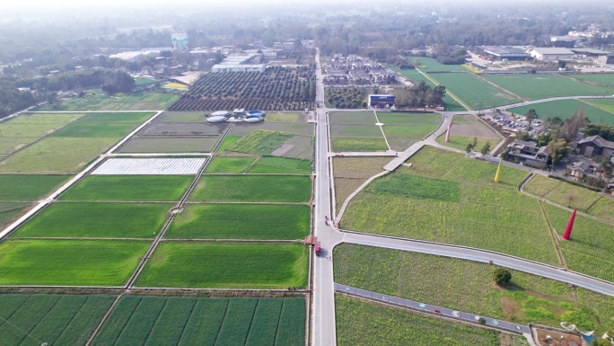 成都市郫县东林艺术村5k