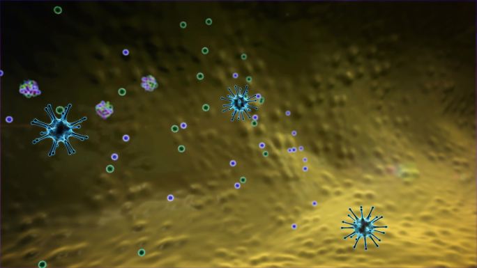 巨噬细胞攻击病毒3d模拟演示体内