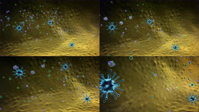 巨噬细胞攻击病毒3d模拟演示体内