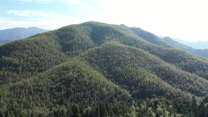 一组大山森林镜头