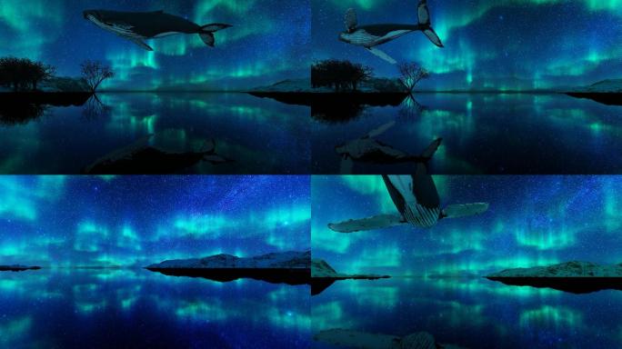 星空极光下飞翔的鲸鱼
