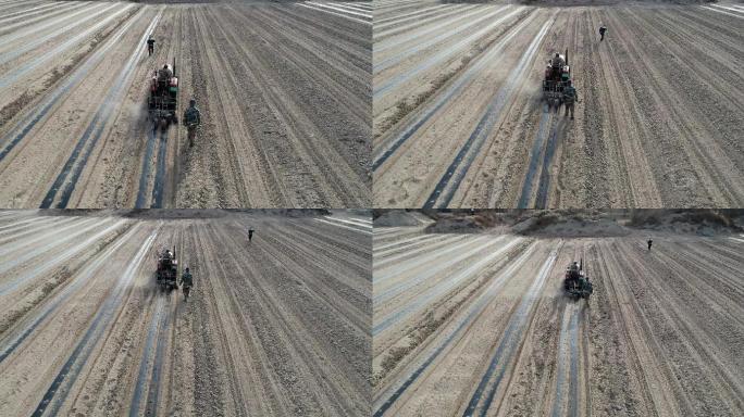 哈密：最甜贡瓜开始种植，瓜地成美丽图案