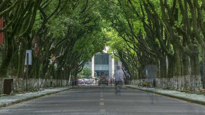 大学校园人流延时