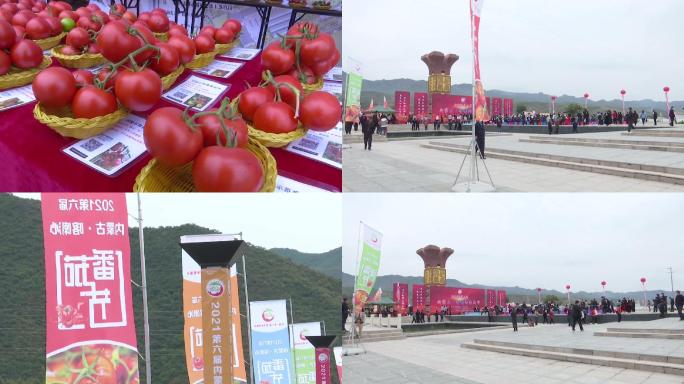 农民农业番茄节开幕现场柿子