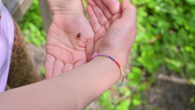 虫子爬在孩子的手上