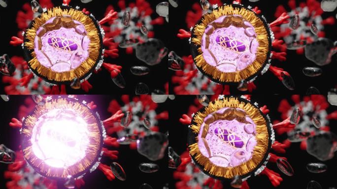 冠状病毒疾病3D动画