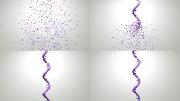 基因组序新冠病毒细菌细胞微生物真菌