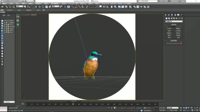 翠鸟-循环绑定动画-3DMax源文件