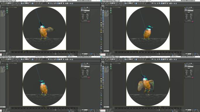 翠鸟-循环绑定动画-3DMax源文件