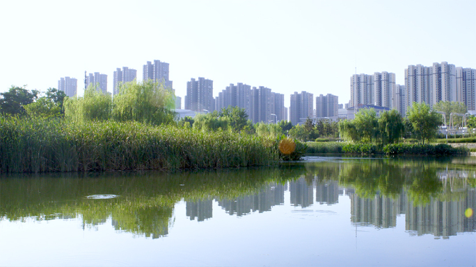 城市湿地河流景色