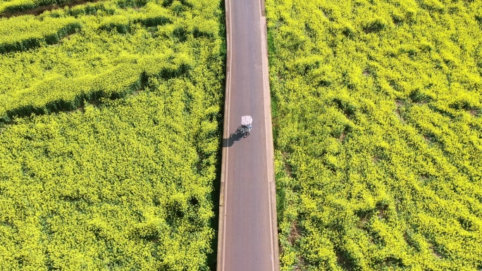 罗平油菜花海航拍跟拍