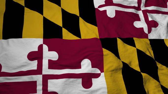 马里兰州国旗美国Maryland阿雷格尼