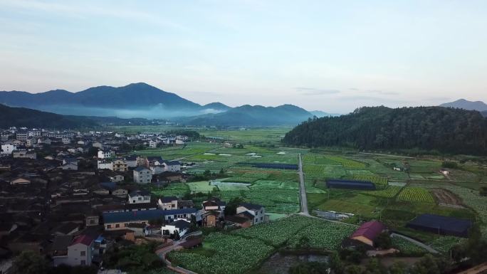 生态 自然 清晨村庄 清晨 绿水青山