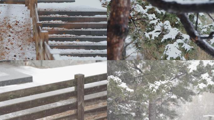 视频素材雪中树木（一）