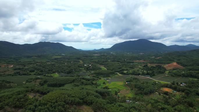 乡野田间延时