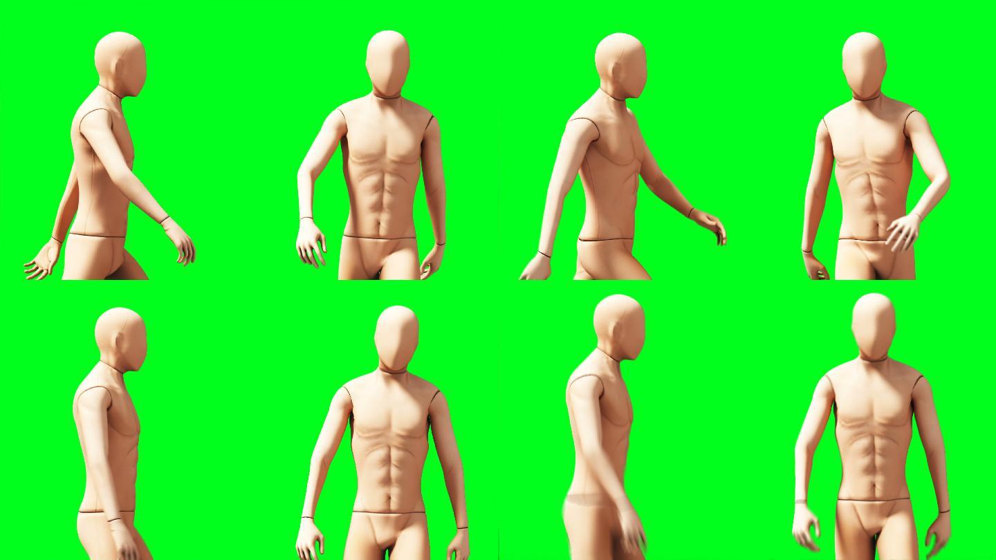 假人，人体模型动画。