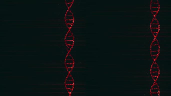 DNA模型视频素材