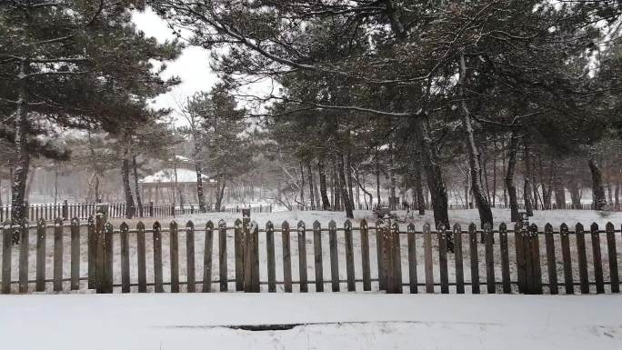 雪花漫天飞舞