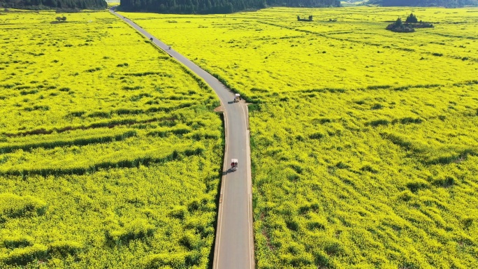 罗平油菜花海航拍跟拍