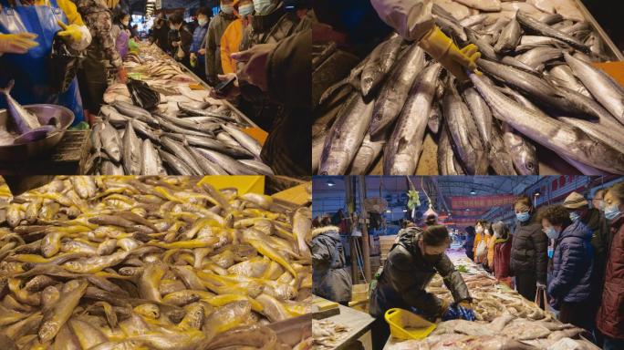多个品种鱼类海鲜市场
