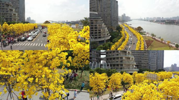 4K高品质航拍城市风光广州洲头咀风铃木
