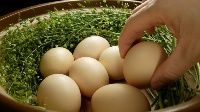 清明节三月三 荠菜煮鸡蛋