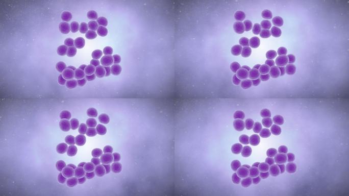 葡萄球菌葡萄球菌动画特效抠像透明通道
