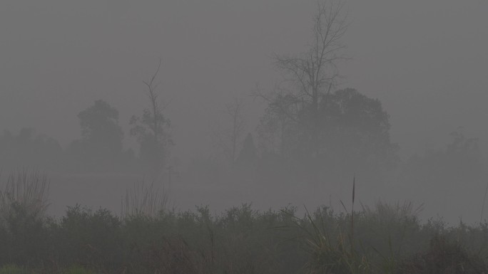 浓雾中的乡村