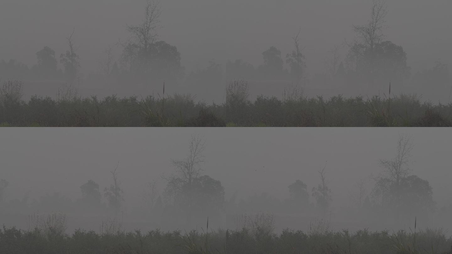 浓雾中的乡村