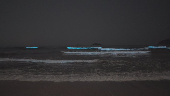 4K实拍广东惠州双月湾荧光海蓝眼泪夜景