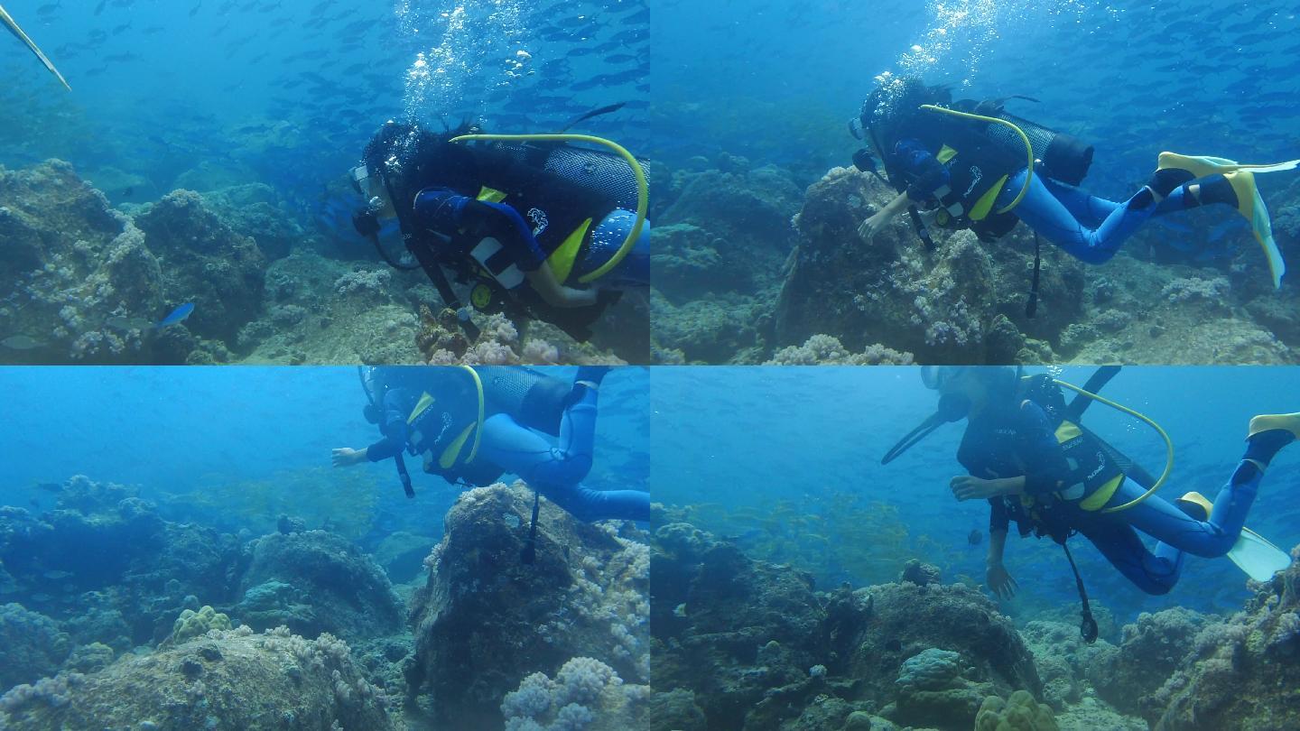 水肺潜水员与海洋鱼群一起畅游蓝色海底世界