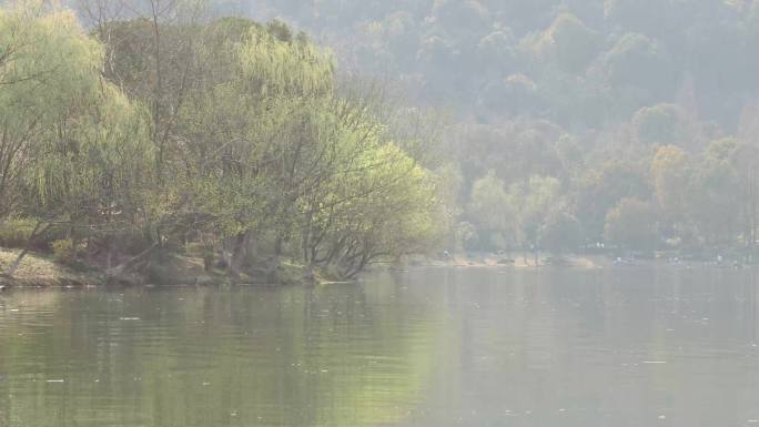 春天杭州湘湖风景区春天湖边景色