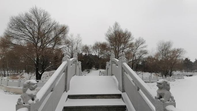 雪花飞溅飞雪迎春