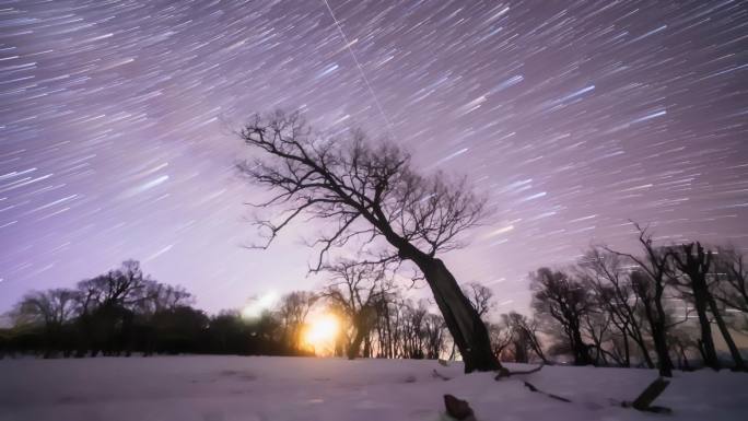 雪地怪树林一棵孤独枯树星空运行轨迹延时