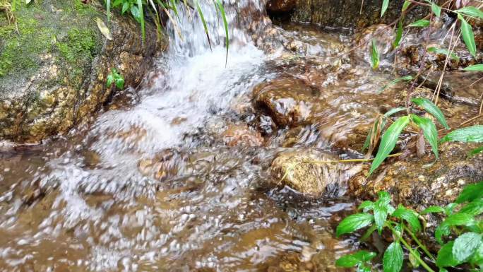 大自然原始森林小溪流水