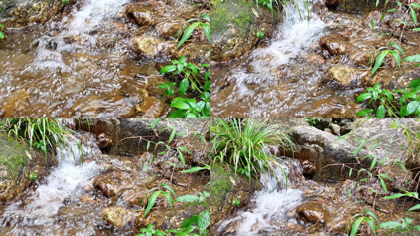 大自然原始森林小溪流水