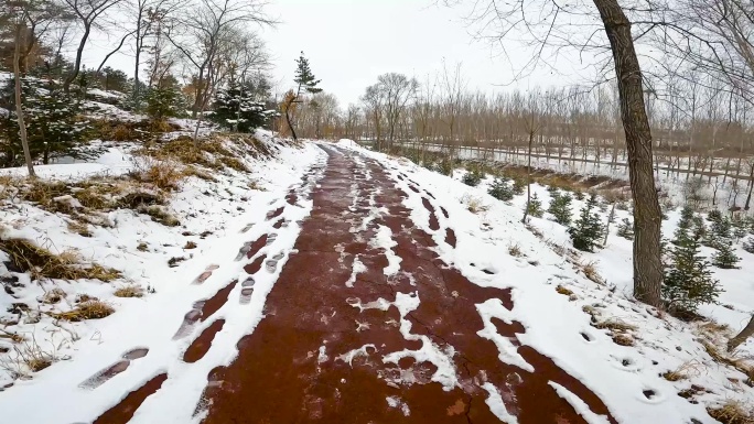 渐渐冰雪消融的山路