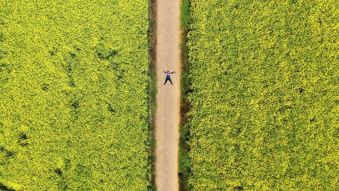 人物躺在油菜花海中俯拍