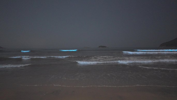 4K实拍广东惠州双月湾荧光海蓝眼泪夜景