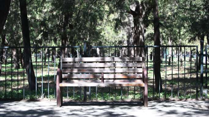 公园春日长凳暖阳