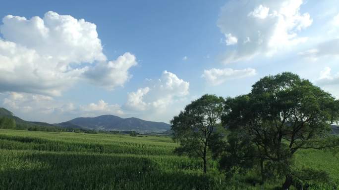 乡村振兴山区农田