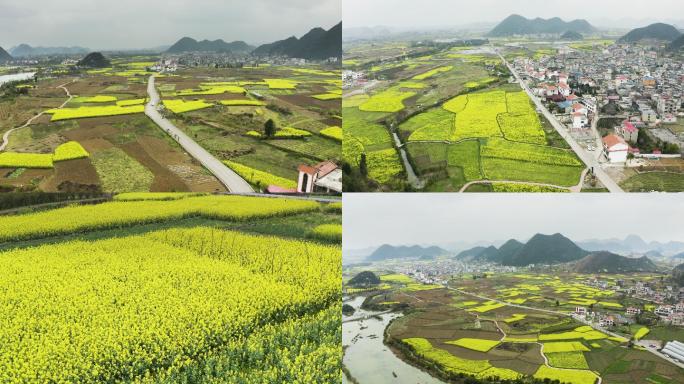 乡村油菜花航拍