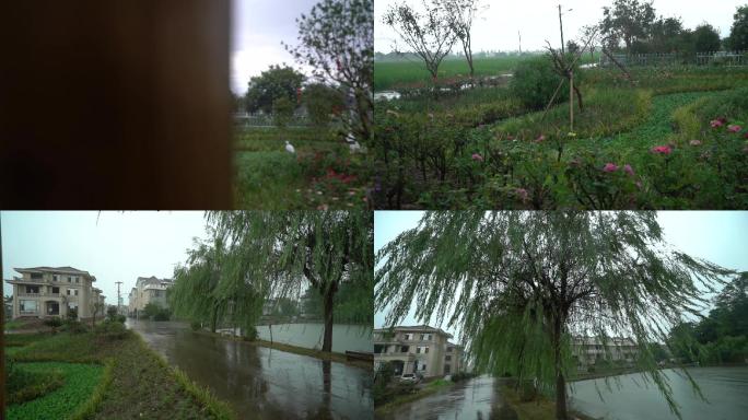 雷阵雨