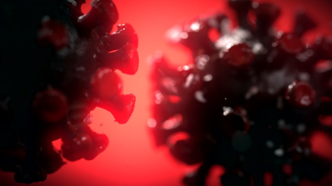 冠状病毒细胞在血液中旋转