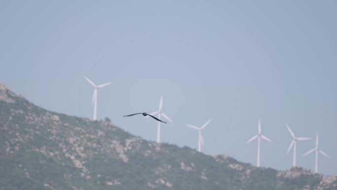风车 树木 碳中和 绿电 风力发电