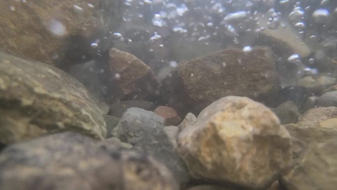 溪流潜水HD升格