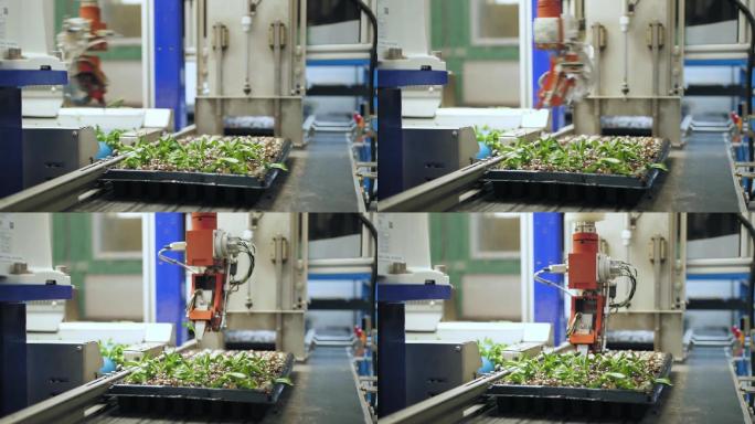 机械臂自动种植蔬菜-科技农业