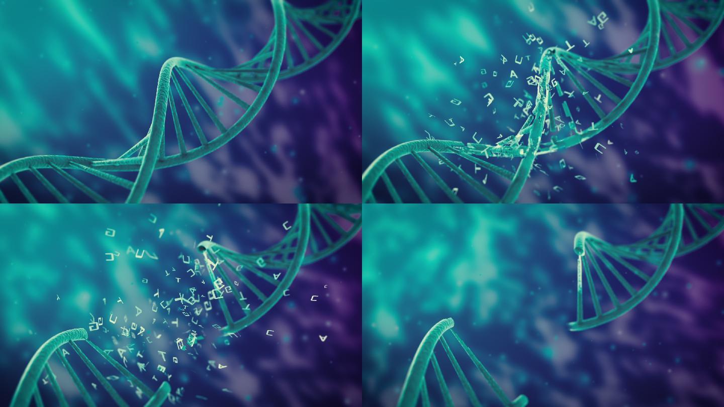 基因突变DNA细胞规则运动生命科学螺旋状