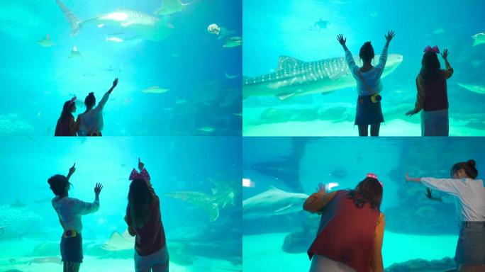 海洋馆两个女生看海洋动物
