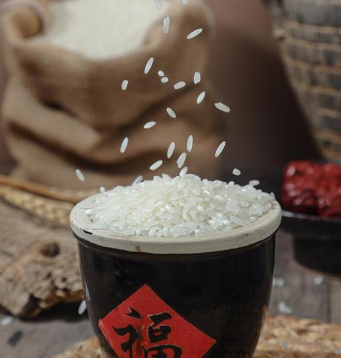 大米饭五谷杂粮大米粥五常大米东北长粒香